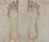 Roman Footprints